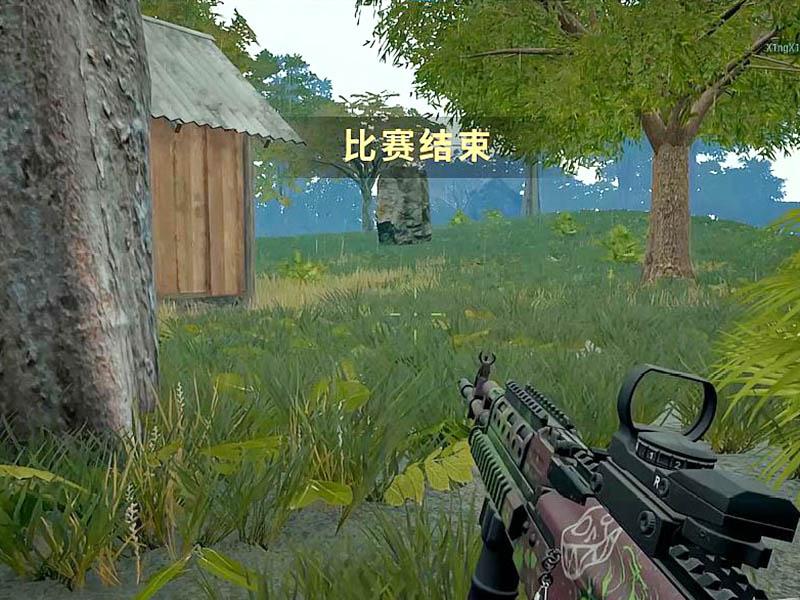 绝地求生羊驼辅助