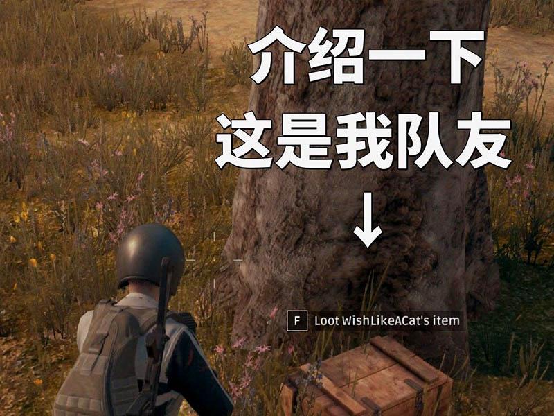 绝地求生盗贼辅助