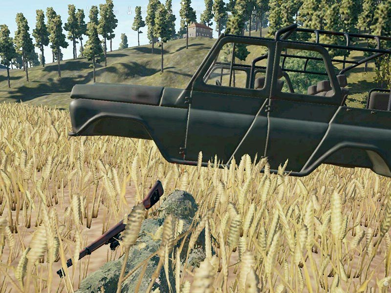 43.jpg