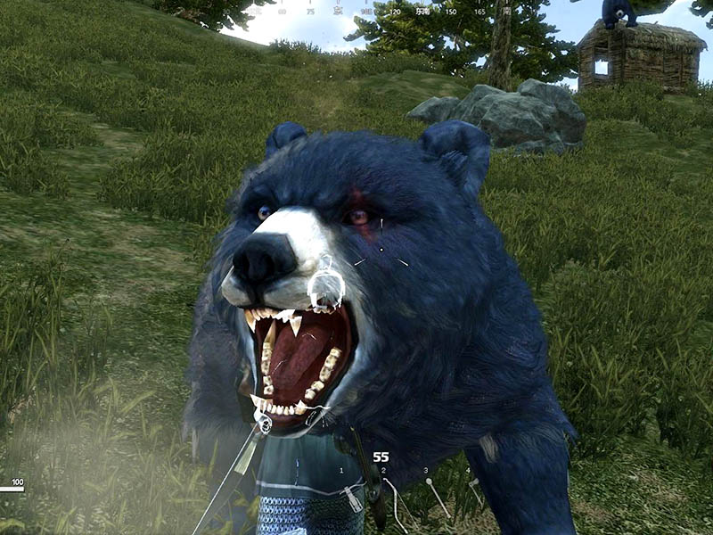 136.jpg